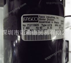 美国发斯科 Fasco 电机Type U88B1