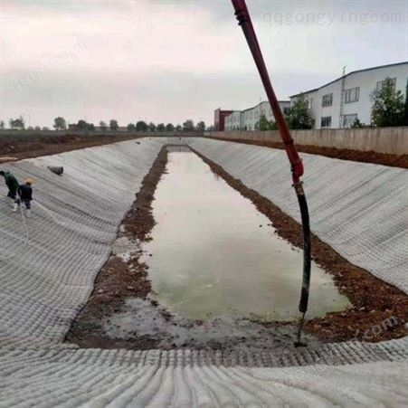 鑫正源模袋混凝土 专业制造模袋混凝土厂 湖河岸护堤